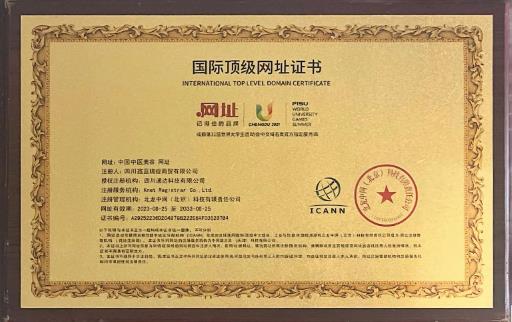 国际顶级网址证书